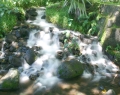 Cascades